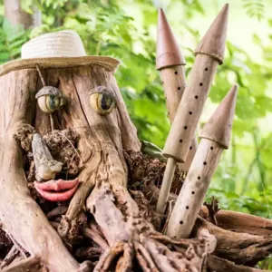 Gesicht im Baumstumpf