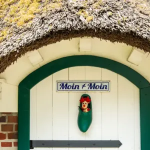 Moin Moin