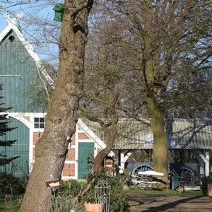 Scheune und Leiterwagen